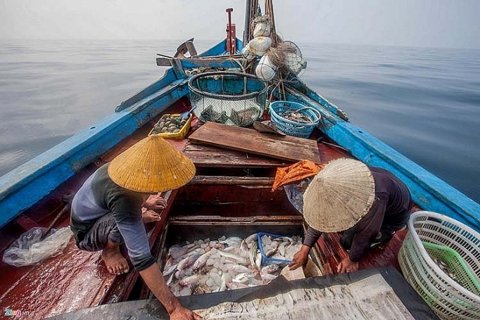 khac phuc the vang iuu mau chot la chong khai thac trai phep