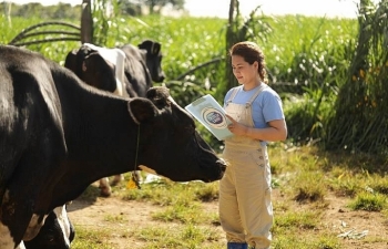 Cô gái Hà Lan tự hào có nguồn sữa nguyên liệu lớn và an toàn hơn chuẩn 11 lần