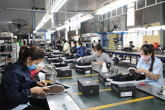 ung pho vu kien phong ve thuong mai tranh hieu ung domino
