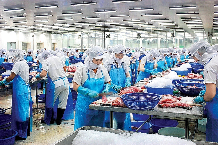 Sử dụng công cụ phòng vệ thương mại phù hợp để bảo vệ sản xuất trong nước