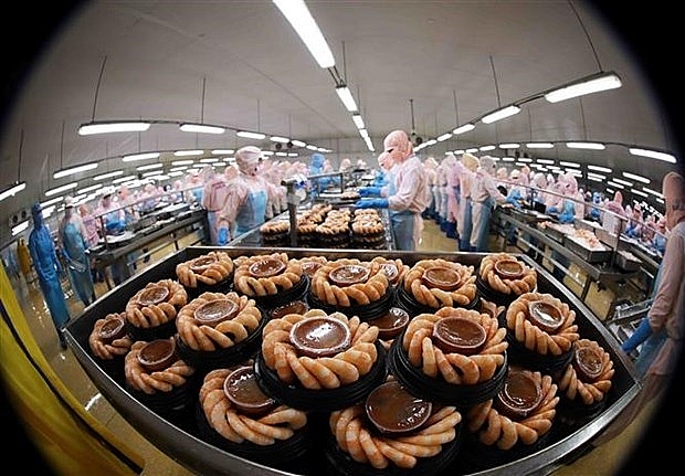 Dây chuyền chế biến tôm đông lạnh xuất khẩu của Công ty thủy sản Minh Phú Hậu Giang