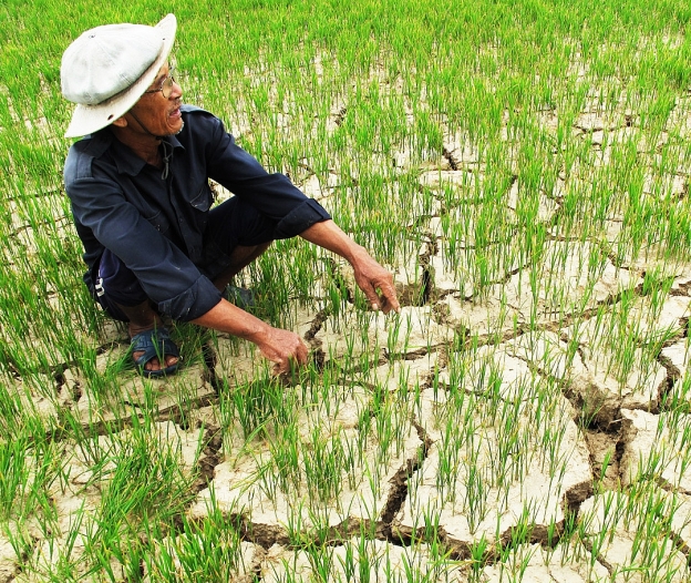 Cần thêm những giải pháp thích ứng với biến đổi khí hậu