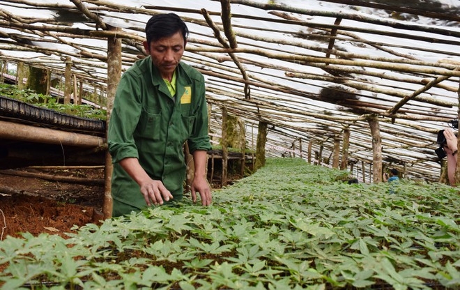 sam ngoc linh kontum buoc chan vao thi truong thuong mai dien tu