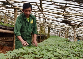 sam ngoc linh kontum buoc chan vao thi truong thuong mai dien tu
