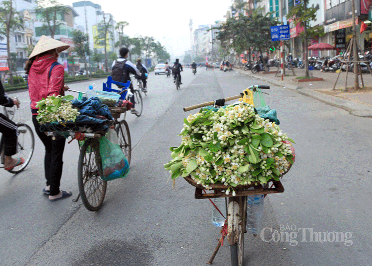 nong nan nhung ganh hoa buoi dau mua tren pho ha noi