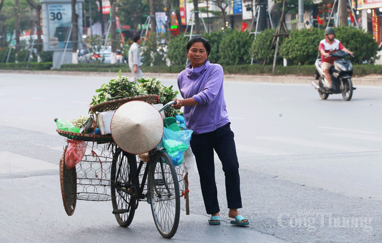 nong nan nhung ganh hoa buoi dau mua tren pho ha noi