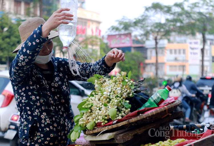 nong nan nhung ganh hoa buoi dau mua tren pho ha noi