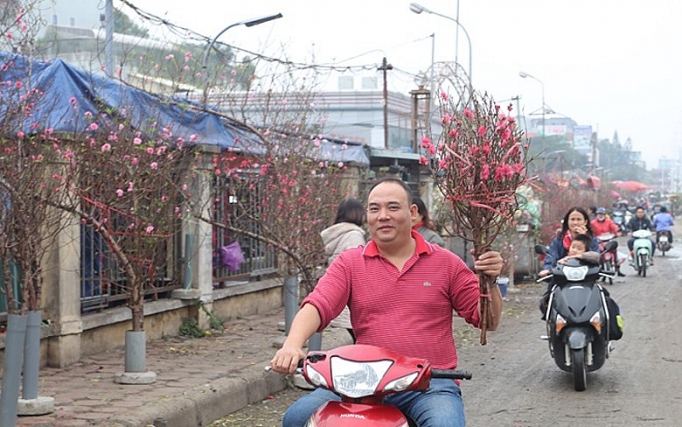 dao nhat tan khoe sac som don tet duong lich