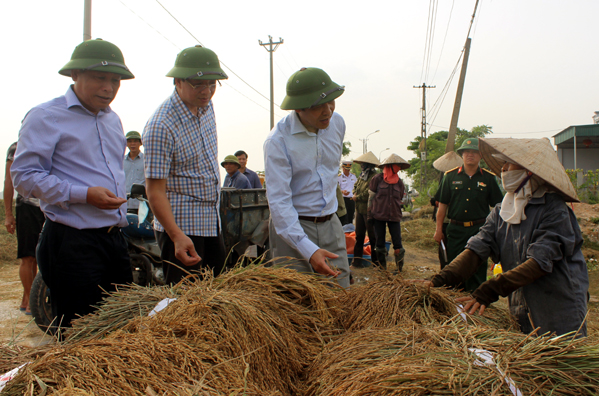 Quảng Ninh triển khai các phương án khẩn trương và quyết liệt chống bão số 7