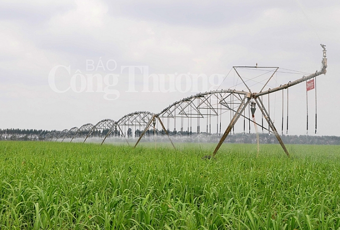 atiga cuoc choi cua nhung doanh nghiep san sang don nhan co hoi va thach thuc