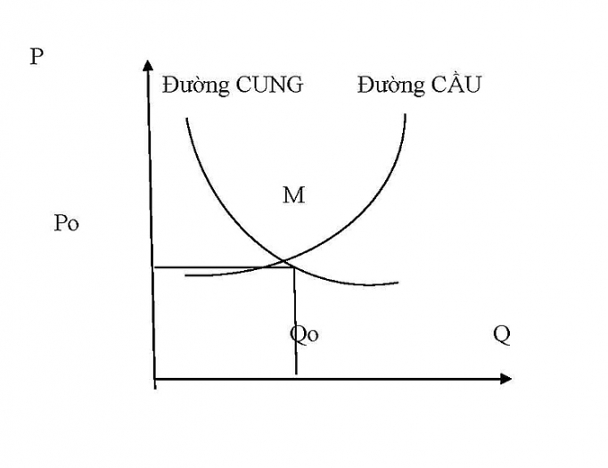 Bám sát quy luật cung