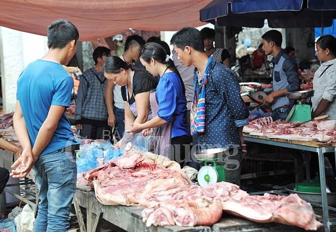 tranh vo tran thit lon con nhieu viec phai lam