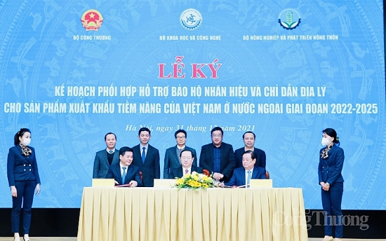 ba bo truong ky ket ke hoach bao ho nhan hieu va chi dan dia ly cho san pham xuat khau tiem nang