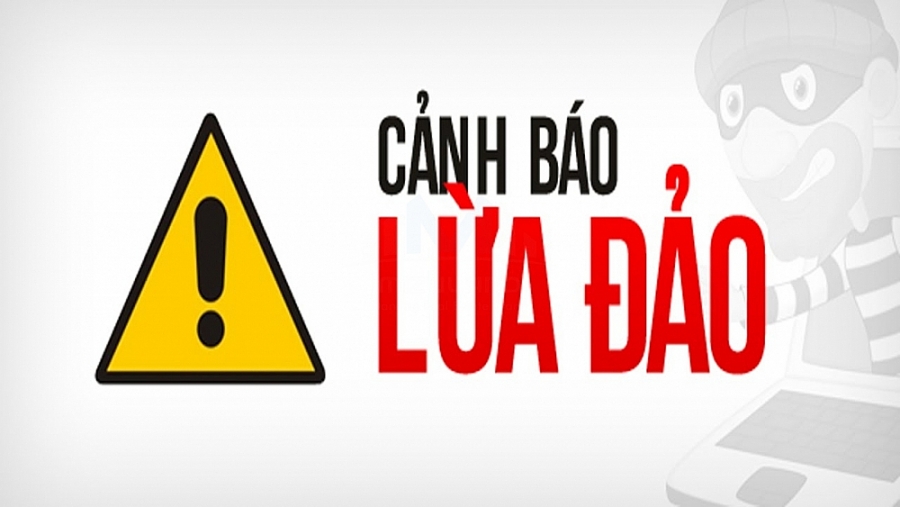 “Thay tên đổi họ”, doanh nghiệp nhập khẩu Maroc tiếp tục lừa đảo doanh nghiệp xuất khẩu Việt Nam