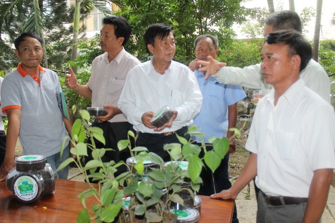 Quảng bá thương hiệu hồ tiêu Lộc Ninh