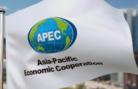apec 2021 viet nam chu dong de xuat nhieu giai phap tranh dut gay chuoi cung ung