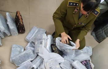 ha noi thu giu gan 700 tui xach nhai louis vuitton chanel gucci
