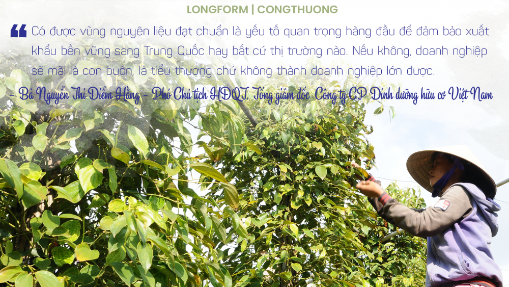 [Longform] Không để nông sản “tắc đường” sang Trung Quốc