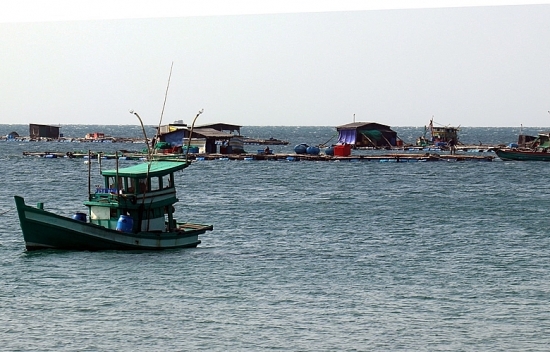 viet nam na uy nhieu trien vong hop tac kinh te trong linh vuc nang luong va kinh te bie n