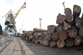 wood business says no to illegal timber