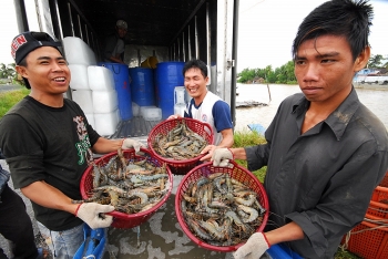 farming pegged as export promise of 2018