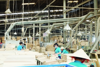 cptpp provides opportunities for timber sector