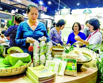 positioning vietnamese organic food in global market