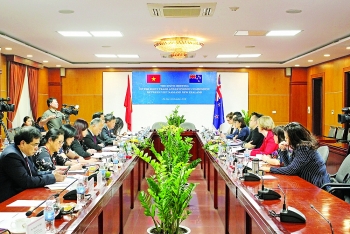 vietnam new zealand see robust growth in trade relations