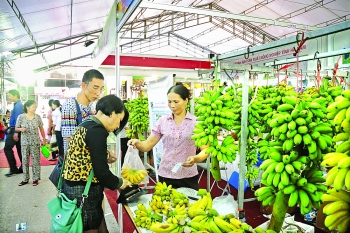 potential new markets for vietnam in mideast africa