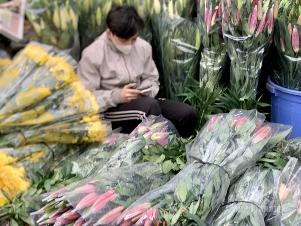 Hoa ly được bán theo bó, mỗi bó 10 cành. Loại hoa ly đỏ giá từ 350.000 - 400.000 đồng/bó. Còn hoa ly vàng giá rẻ hơn, dao động từ 300.000 - 350.000 đồng/bó. Hoa ly được bán theo bó, mỗi bó 10 cành. Loại hoa ly đỏ giá từ 350.000 - 400.000 đồng/bó. Còn hoa ly vàng giá rẻ hơn, dao động từ 300.000 - 350.000 đồng/bó.