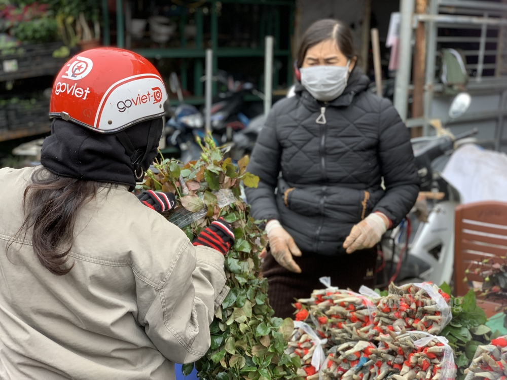 HOoa hồng HOoa hồng