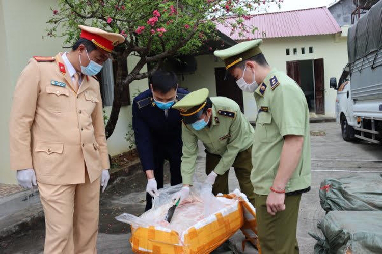 Lực lượng quản lý thị trường Lạng Sơn bắt giữ 2,5 tấn nầm lợn đông lạnh