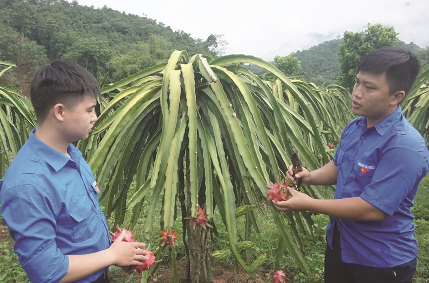 Hỗ trợ thanh niên khởi nghiệp, lập nghiệp