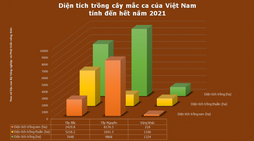 Hành trình phát triển cây mắc ca “tỷ đô” trên miền Tây Bắc