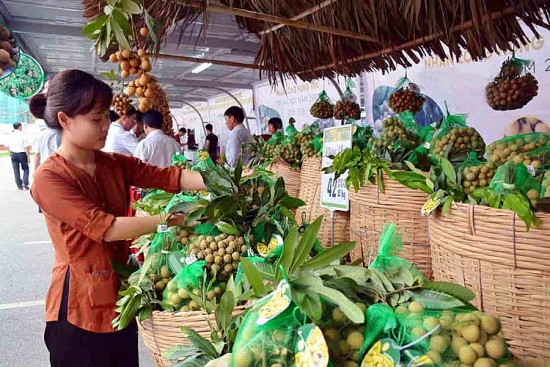 Tìm đường “xuất ngoại” cho trái nhãn trong thời kỳ Covid-19