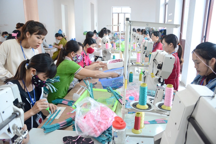 Tuyên Quang phấn đấu đến năm 2025, tỷ lệ lao động qua đào tạo có bằng, chứng chỉ 30%
