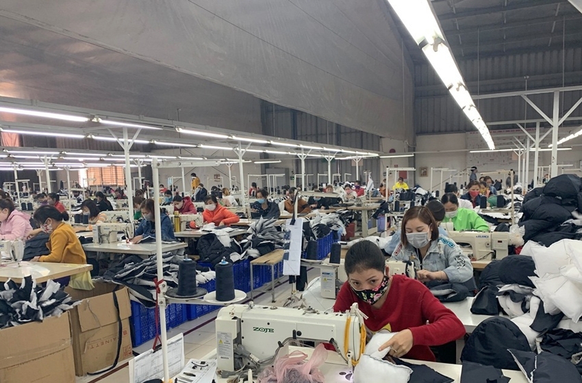 0100-lao-dong-hoa-binh