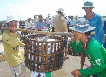 chang duong hoi phuc chong chenh cua thuy san