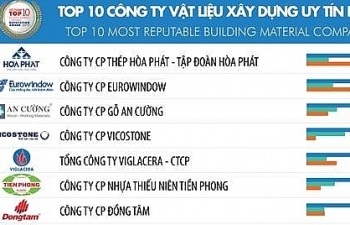 thep xay dung hoa phat tiep tuc dan dau top 10 dn vat lieu xay dung uy tin