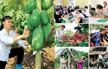 tai chinh nong thon tru cot cho chinh sach giam ngheo tai viet nam