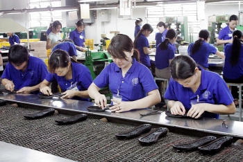 da dang hoa nguon nguyen lieu nhap khau dinh hinh huong di lau ben