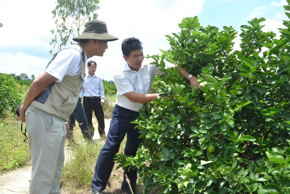 Nông sản miệt vườn chinh phục thế giới