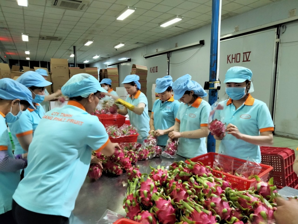 Nông sản miệt vườn chinh phục thế giới
