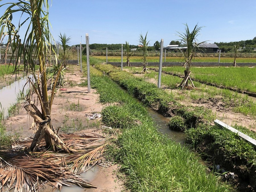 Phó Thủ tướng Chính phủ ký ban hành quyết định về đơn giản hóa  các quy định trong quản lý đất đai