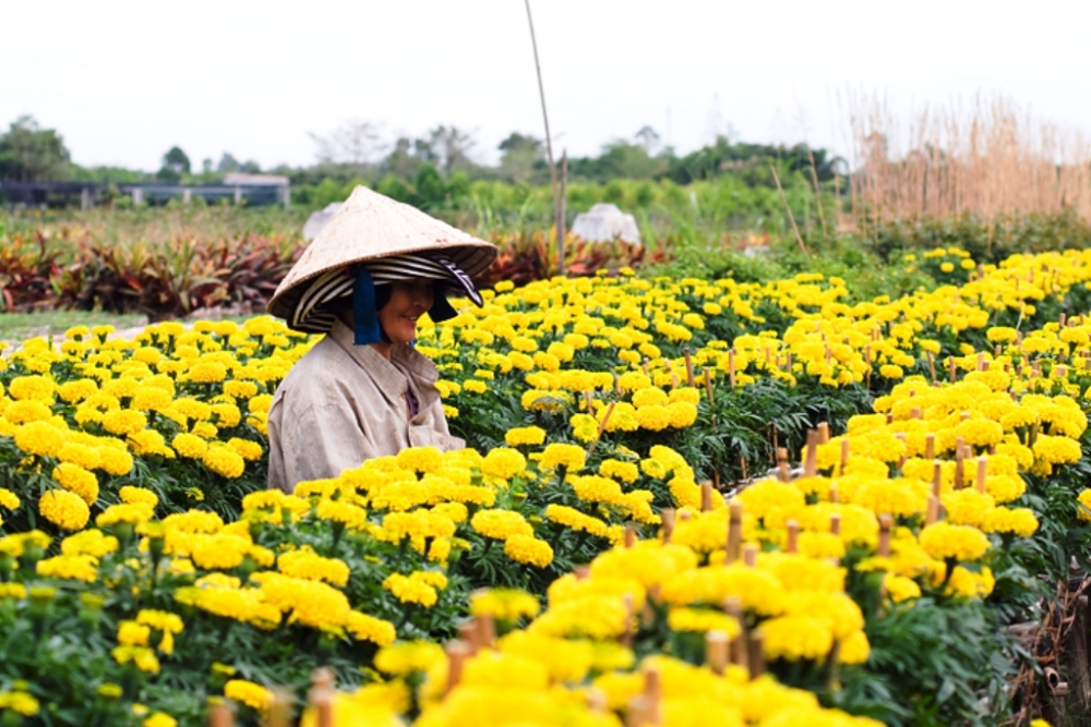 Phong phú hương vị Tết phương Nam phong phu huong vi tet phuong nam