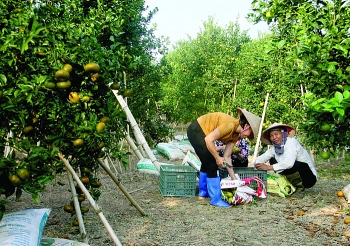 danh thuc tie m nang kinh te bac kan