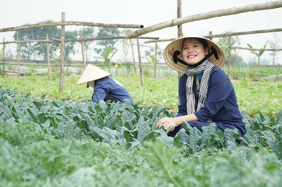 Thành công cùng sợi mỳ rau