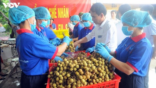 Xúc tiến thương mại: Khơi thông đầu ra thị trường nông sản