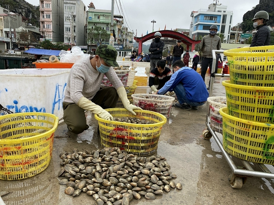 Quảng Ninh: Giải “bài toán” tiêu thụ nông, thủy sản