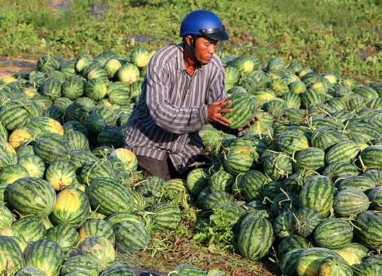 Hậu Giang: Bám sát mục tiêu, đối tượng thụ hưởng chính sách khuyến công